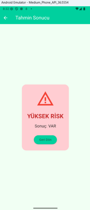Yüksek risk sonucu ekranı